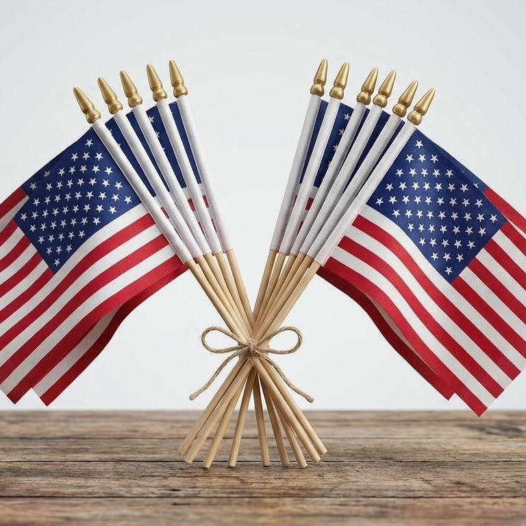 Handheld American Flag, Small American Flags On Sticks for Patriotic Parades and Celebrations, Flag for Veterans day