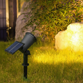 Solar Landscape Spotlight with 9-Color LED and Adjustable Head