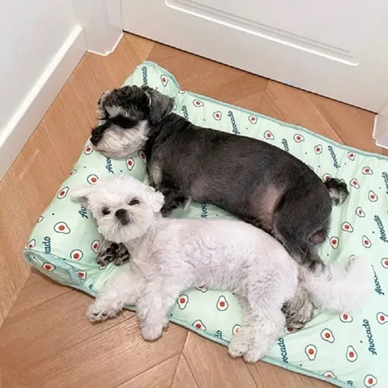 Kühlmatte aus Eis-Seide für Hunde und Katzen | Brehn