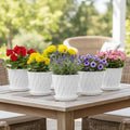 5-Pack Wave Texture Plant Pots with Drainage