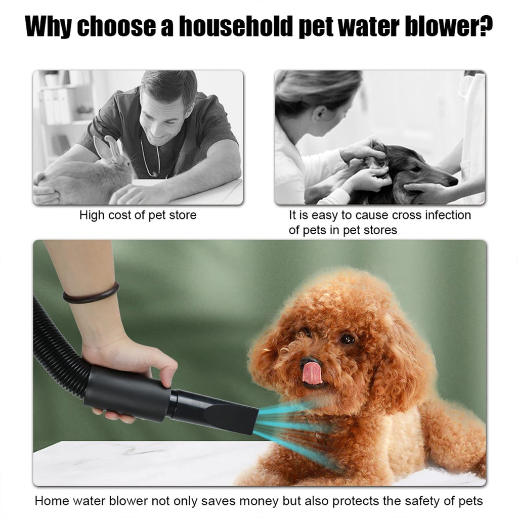High Velocity Dog Grooming Dryer with Adjustable Heat and Extended Flexible Hose