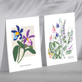 Colorful Spring Flower Illustration Set of 2 Art Prints | Bowlift