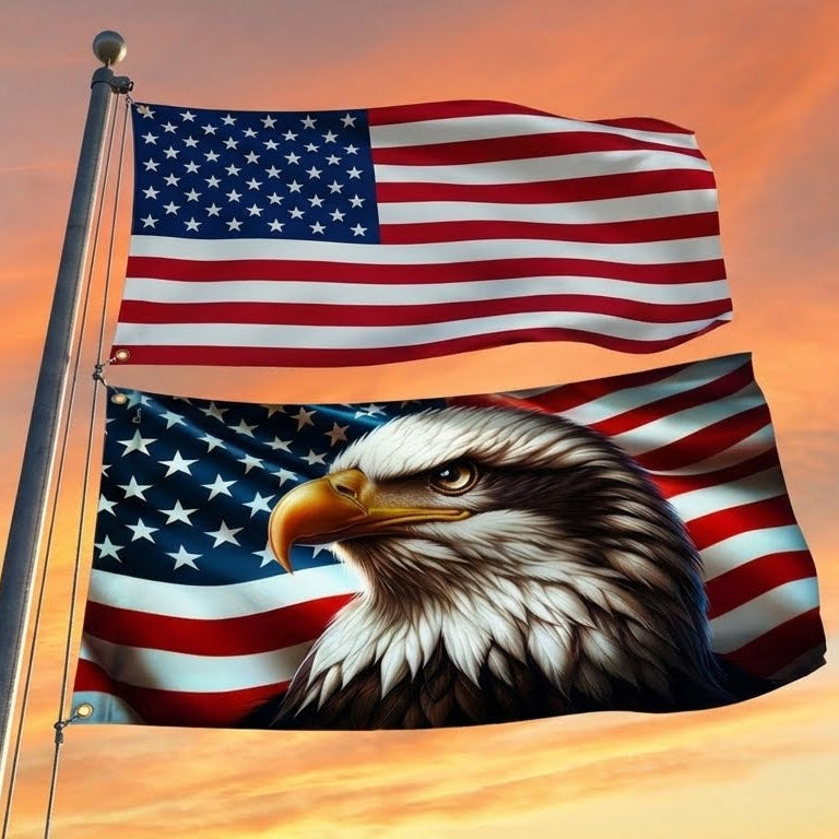 Flagwix American Flag, America Patriotic Eagle American Grommet Flag 3-Day Shipping