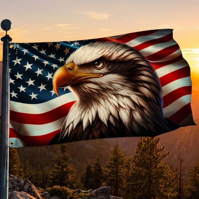 Flagwix American Flag, America Patriotic Eagle American Grommet Flag 3-Day Shipping