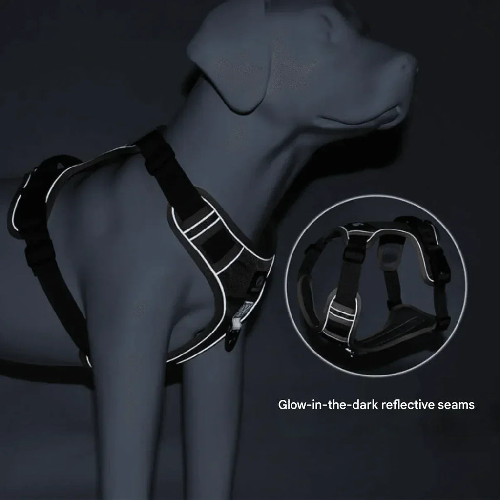 Anti-Trek Dog Harness with Comfort Padding – PullFree