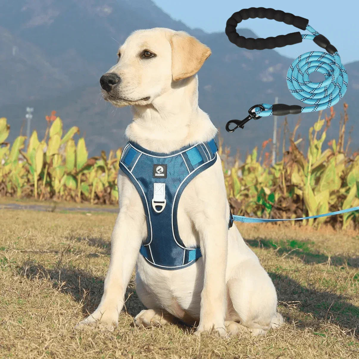 Anti-Trek Dog Harness with Comfort Padding – PullFree