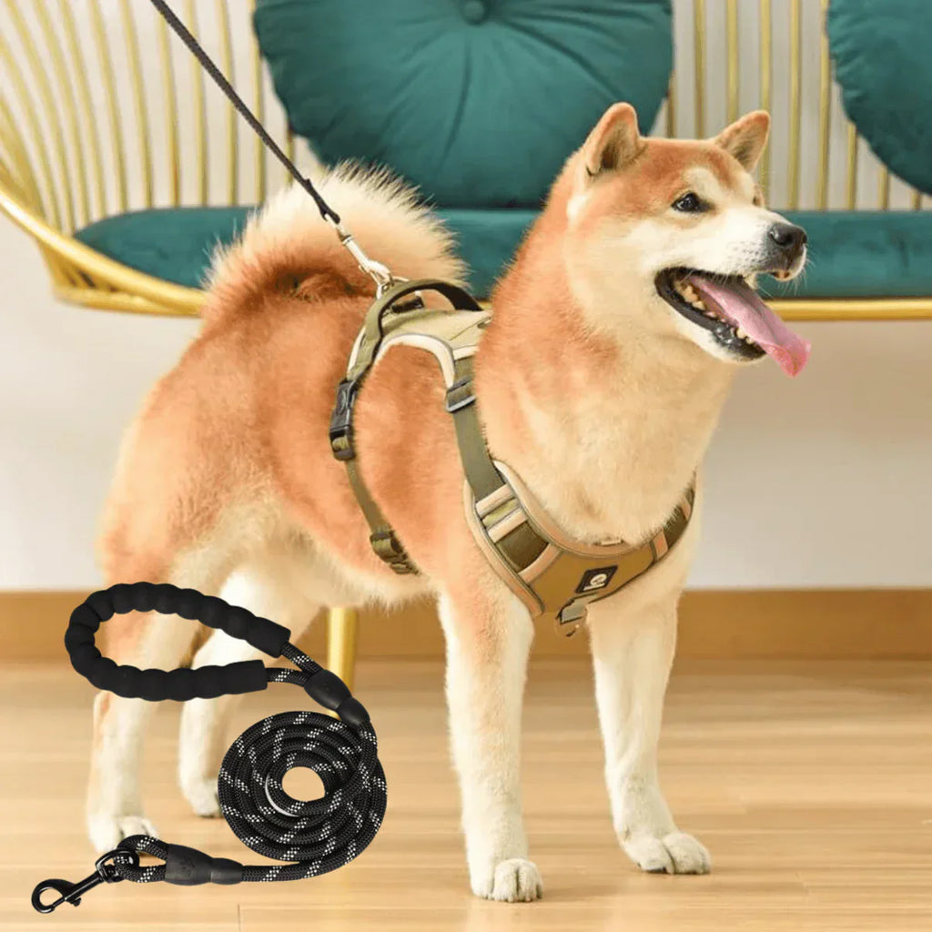 Anti-Trek Dog Harness with Comfort Padding – PullFree