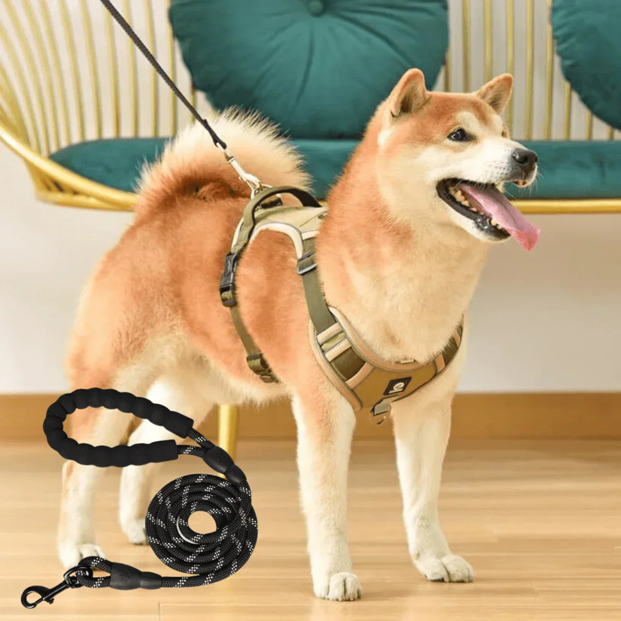 Anti-Trek Dog Harness with Comfort Padding – PullFree