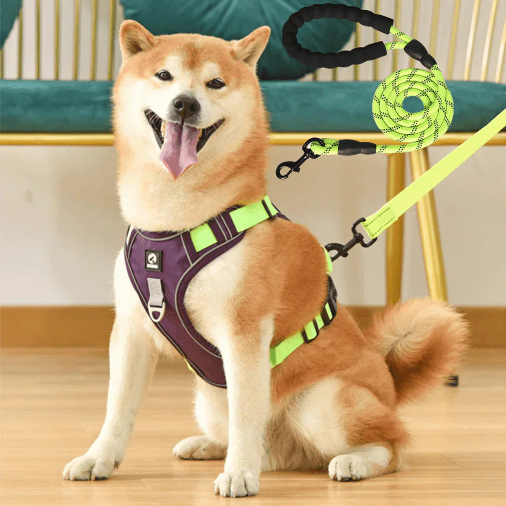 Anti-Trek Dog Harness with Comfort Padding – PullFree