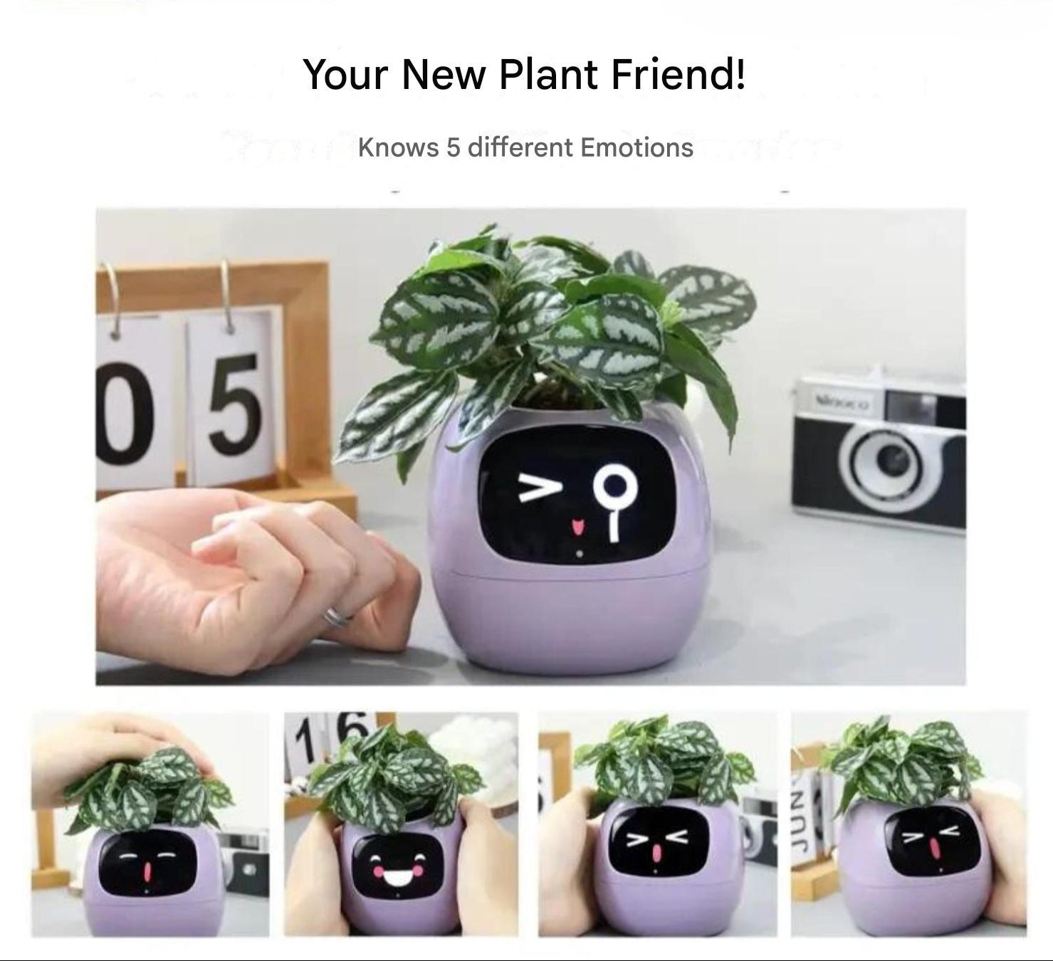 Automatic Smart Flowerpot - GreenBuddy SmartPot