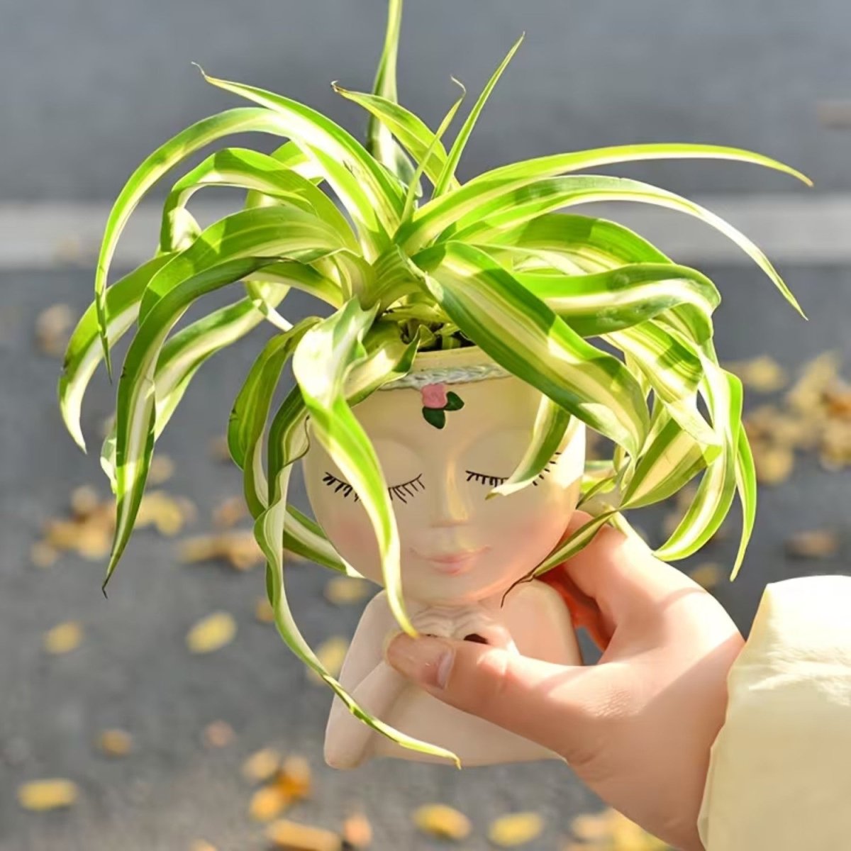 Creative Resin Face Vase for Plants