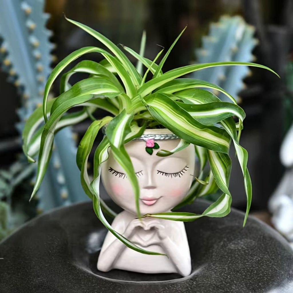 Creative Resin Face Vase for Plants