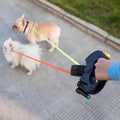 Dual Dog Leash Walker
