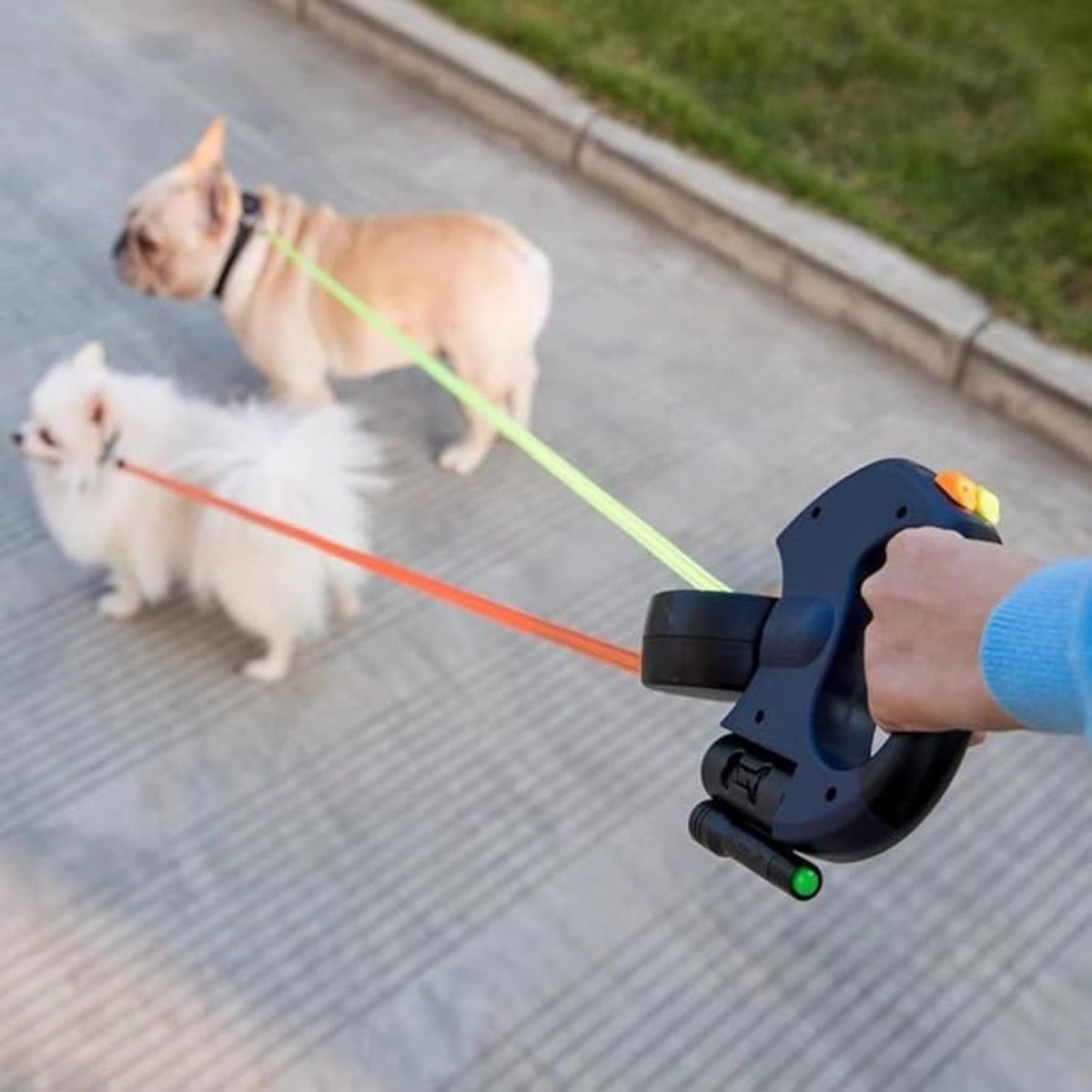 Dual Dog Leash Walker