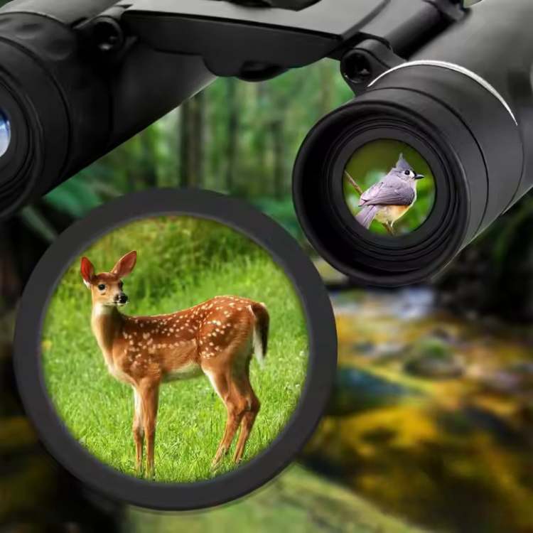 EagleEye 40x22 HD Long-Range Binocular Bird Watching