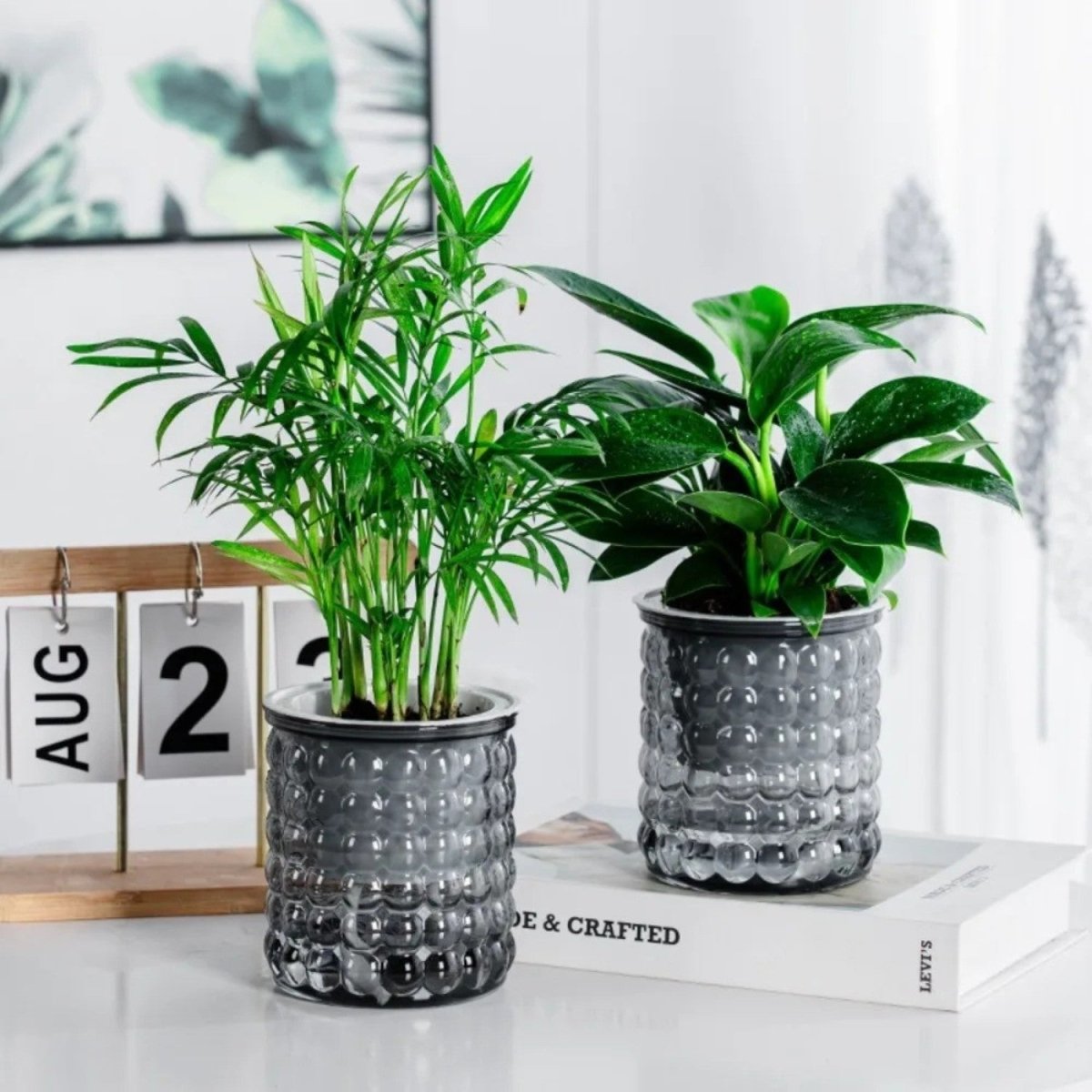 Eco-Friendly Self-Watering Hydroponic Flowerpot