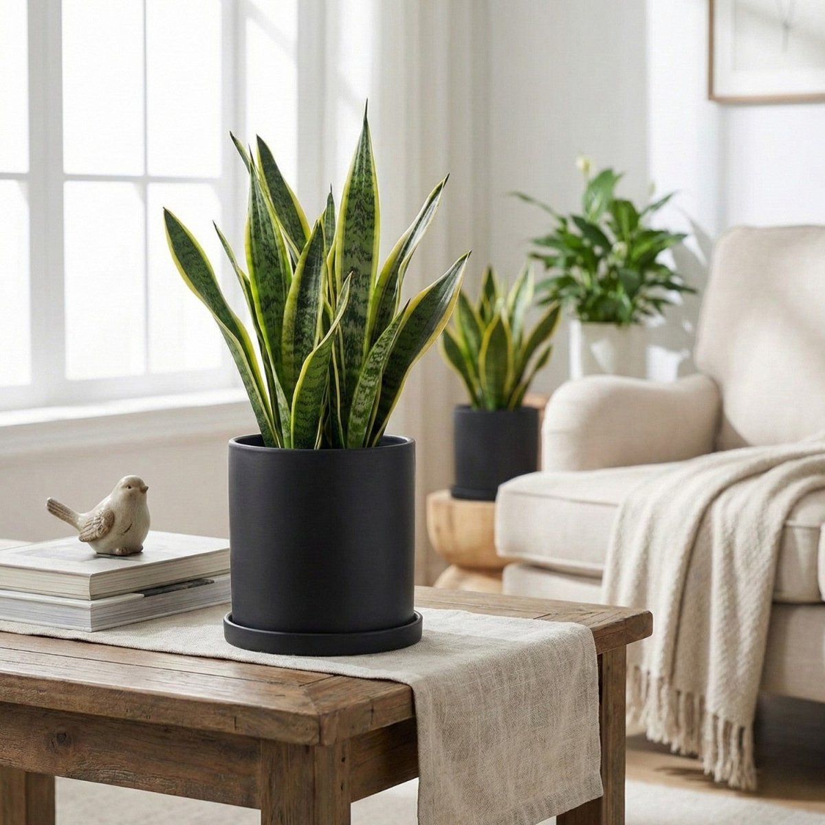 Elegant Ceramic Flowerpot with Saucer
