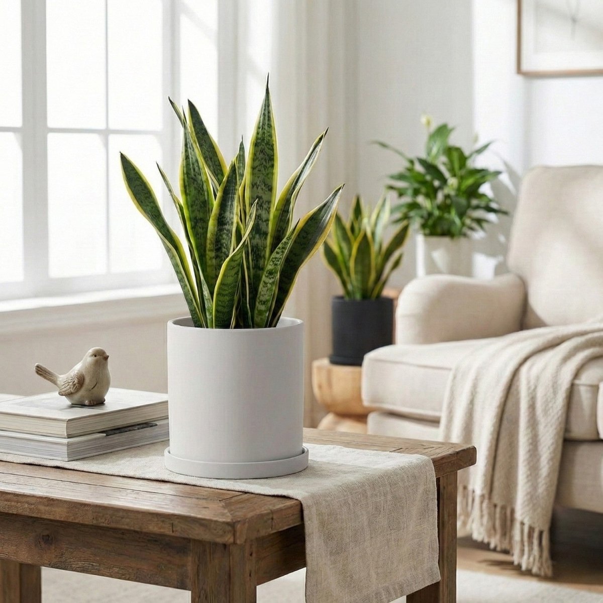 Elegant Ceramic Flowerpot with Saucer