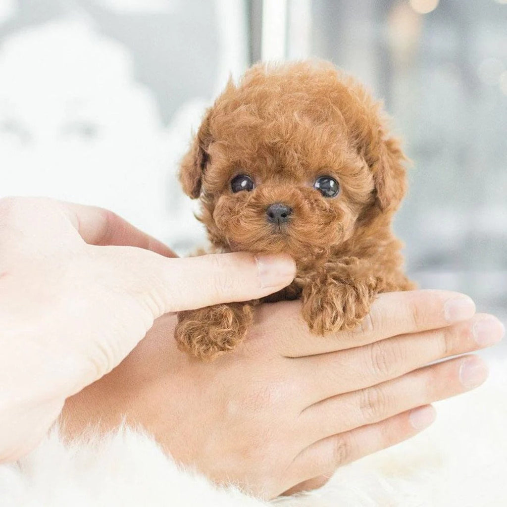 Realistic Robotic Puppy