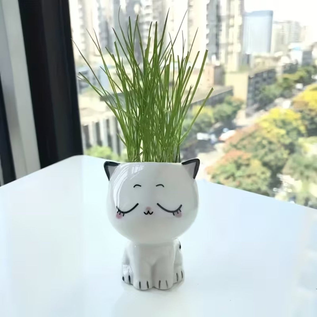 Mini Cat Ceramic Flowerpot for Small Plants