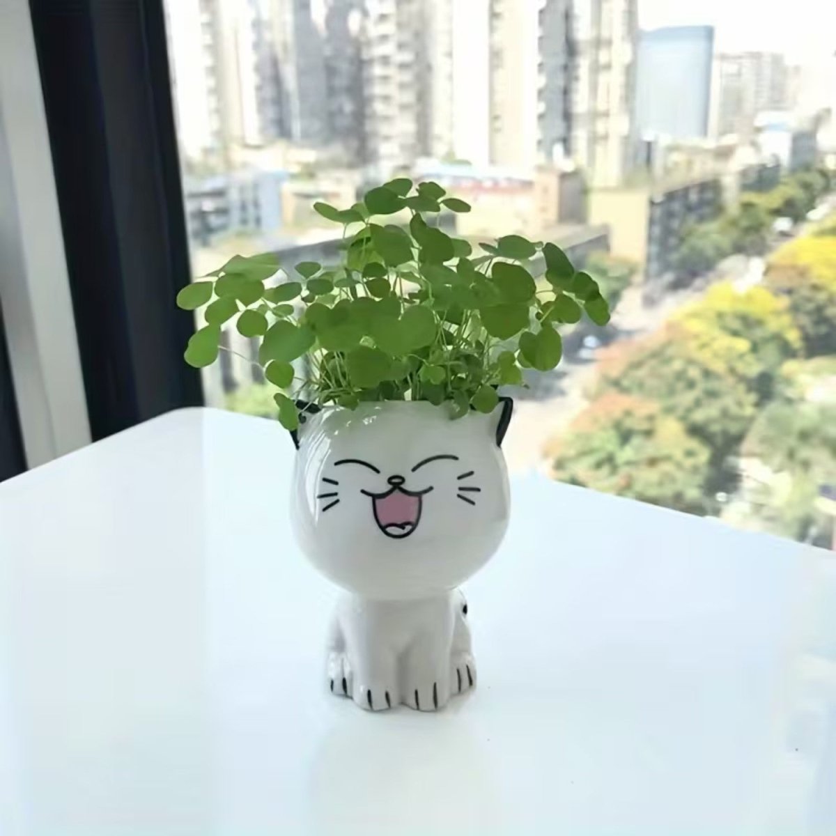 Mini Cat Ceramic Flowerpot for Small Plants