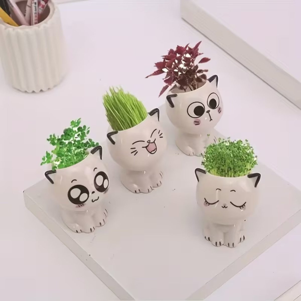 Mini Cat Ceramic Flowerpot for Small Plants