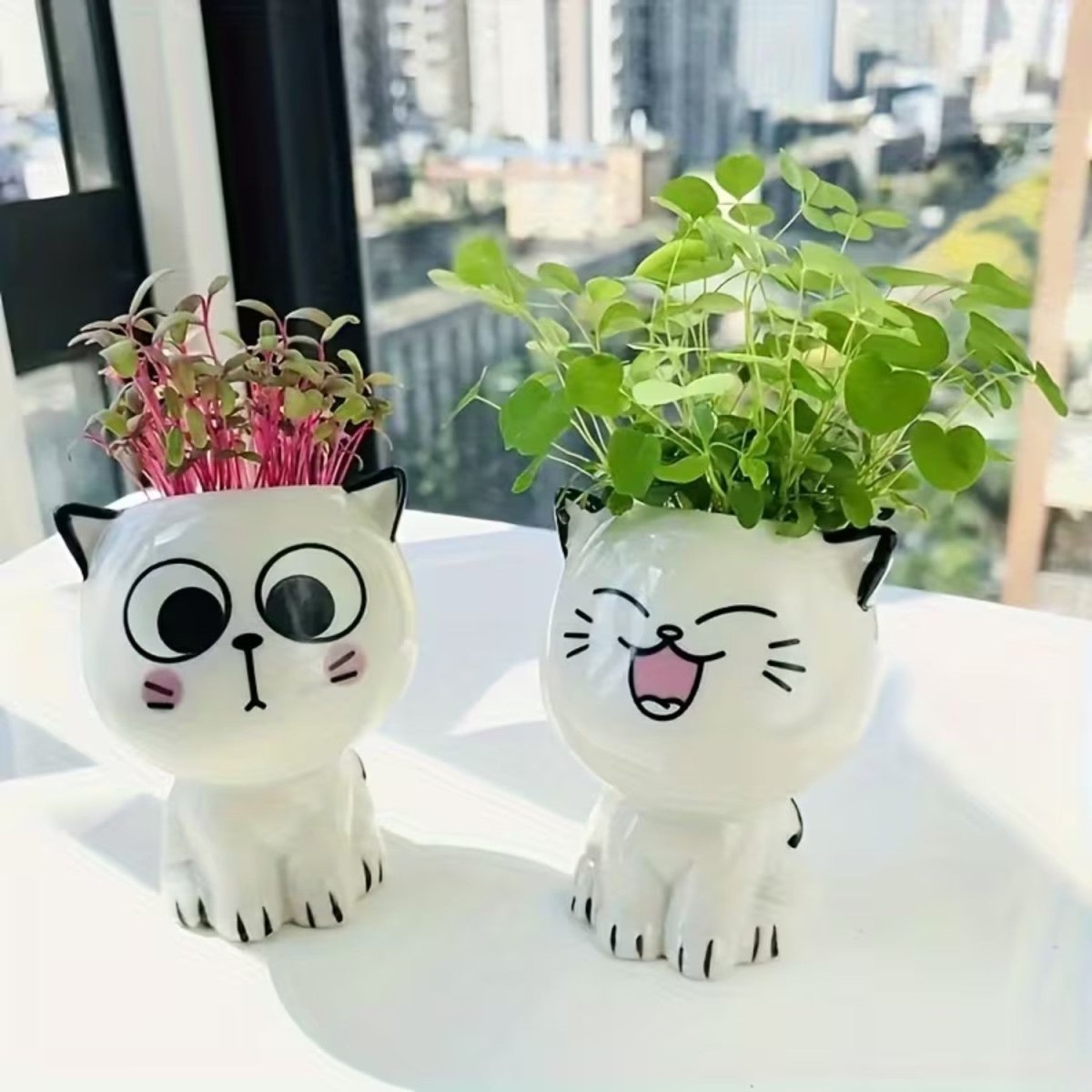 Mini Cat Ceramic Flowerpot for Small Plants