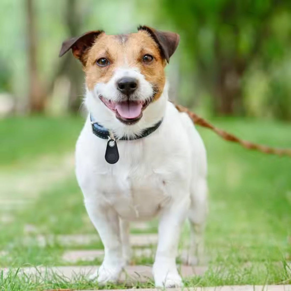 PawPin – Bluetooth Pet Location Tracker