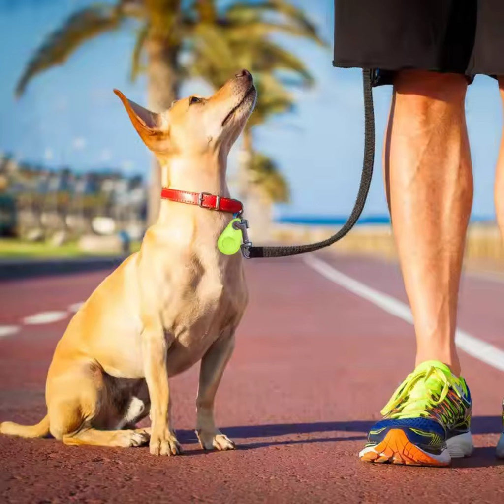 PawPin – Bluetooth Pet Location Tracker