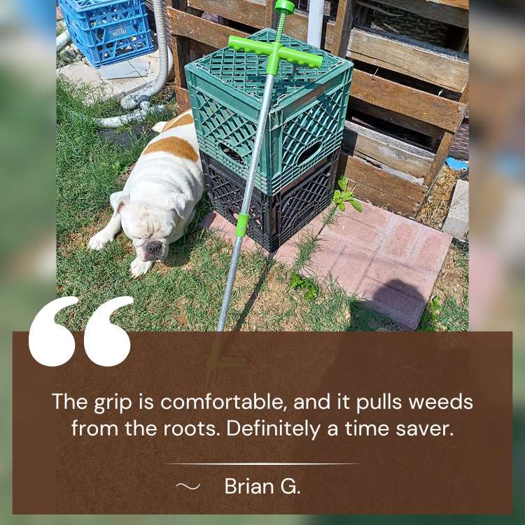 RootRipper Garden Weed Puller