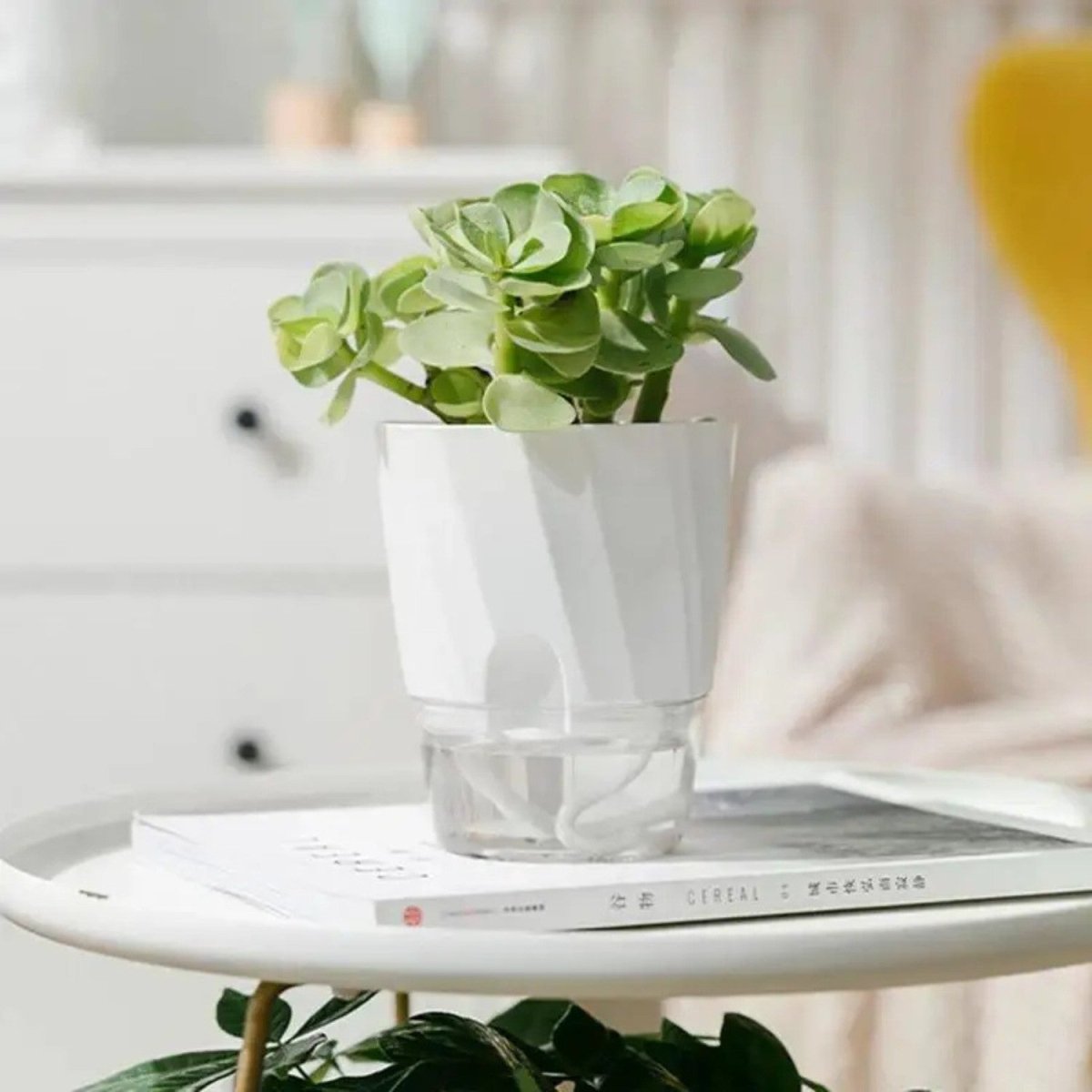 Self-Watering Flowerpot for Clean Indoor Gardening