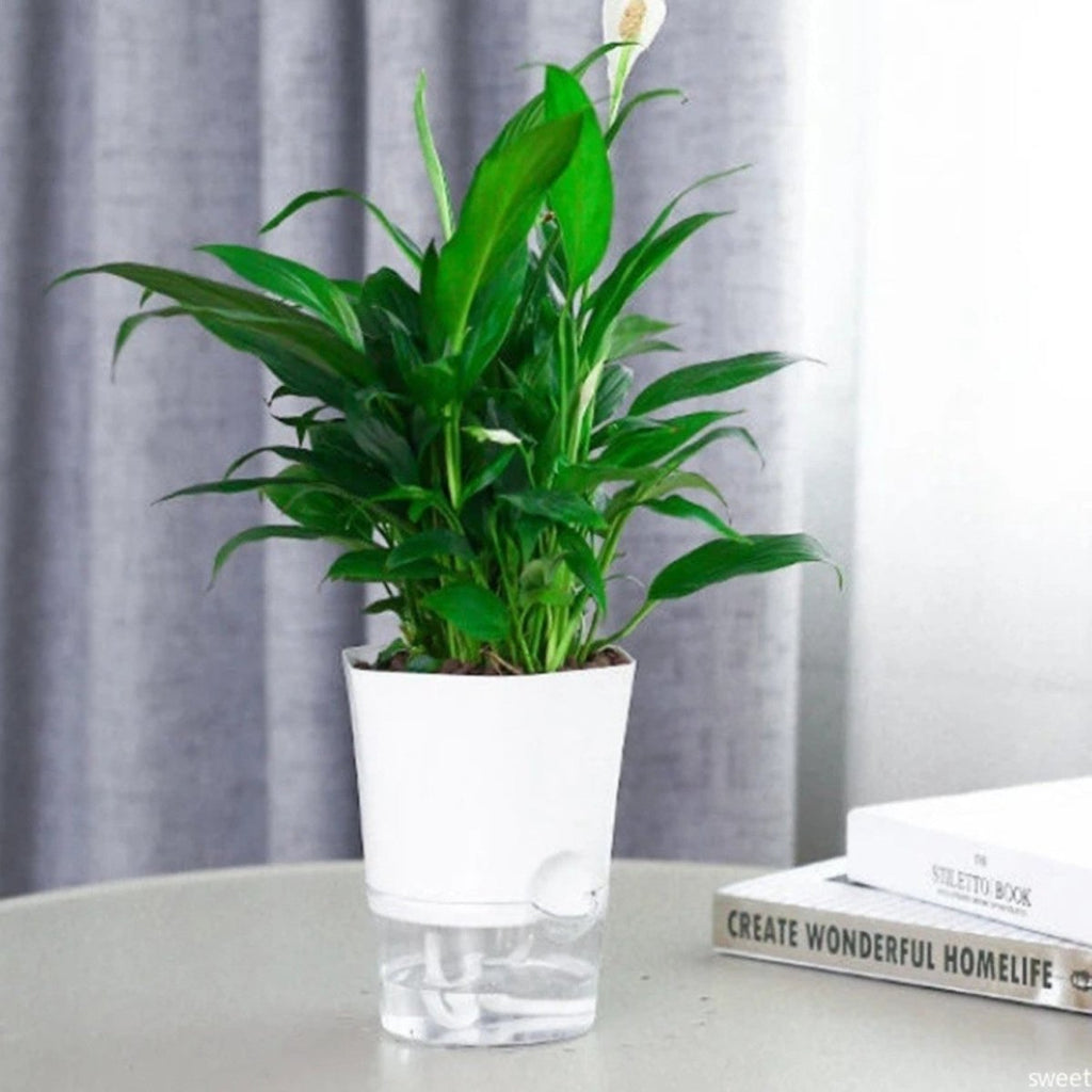 Self-Watering Flowerpot for Clean Indoor Gardening