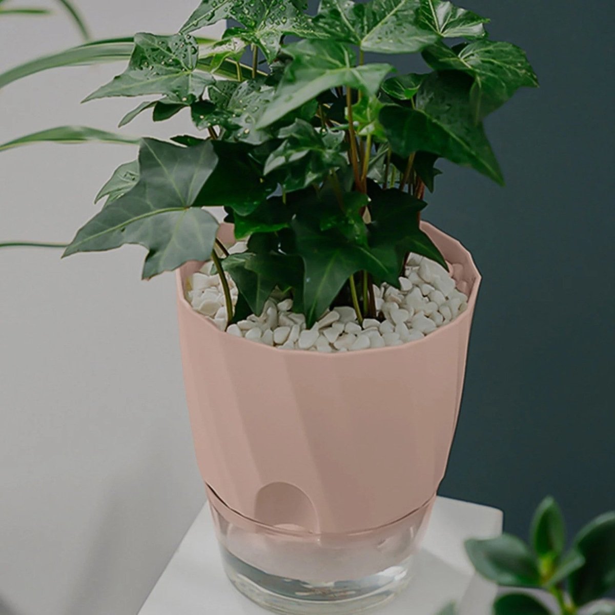 Self-Watering Flowerpot for Clean Indoor Gardening