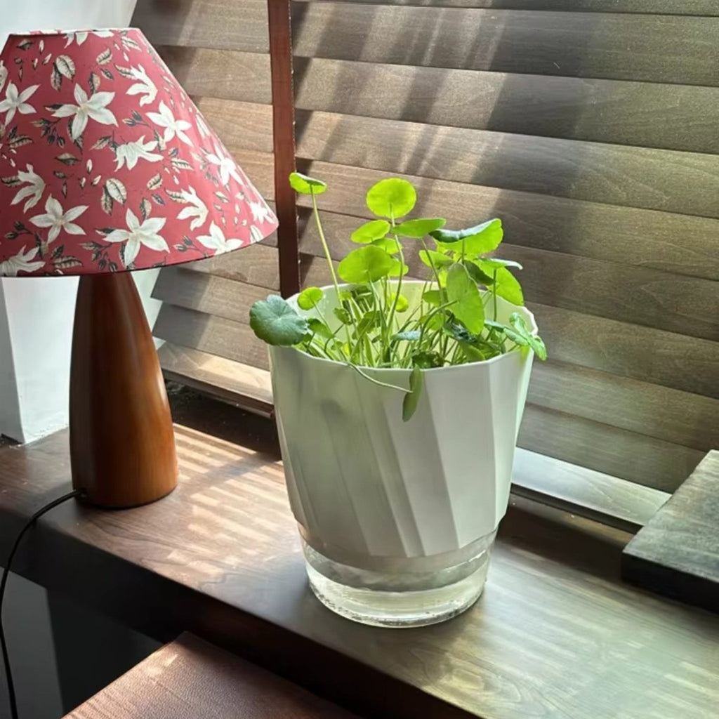 Self-Watering Flowerpot for Clean Indoor Gardening