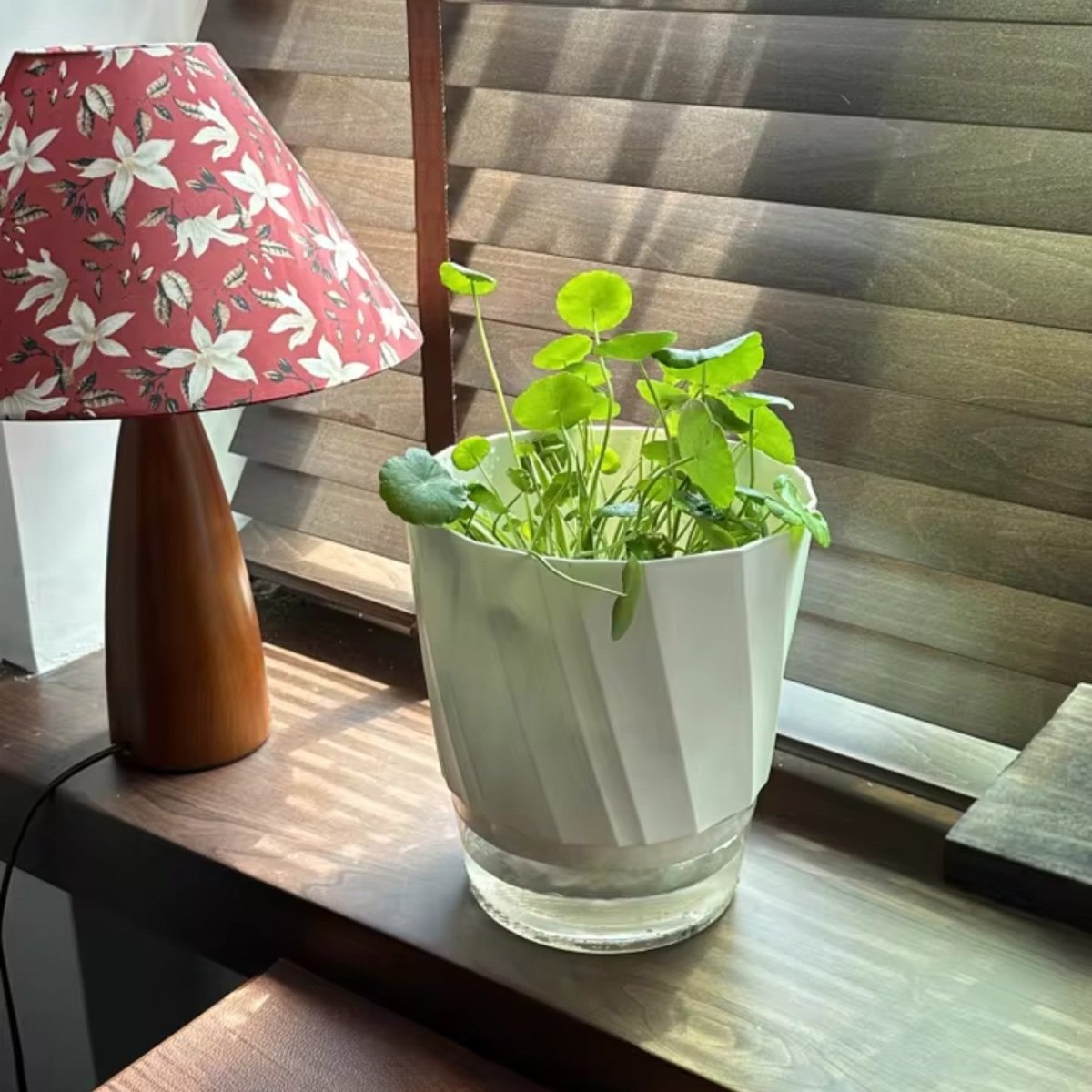 Self-Watering Flowerpot for Clean Indoor Gardening