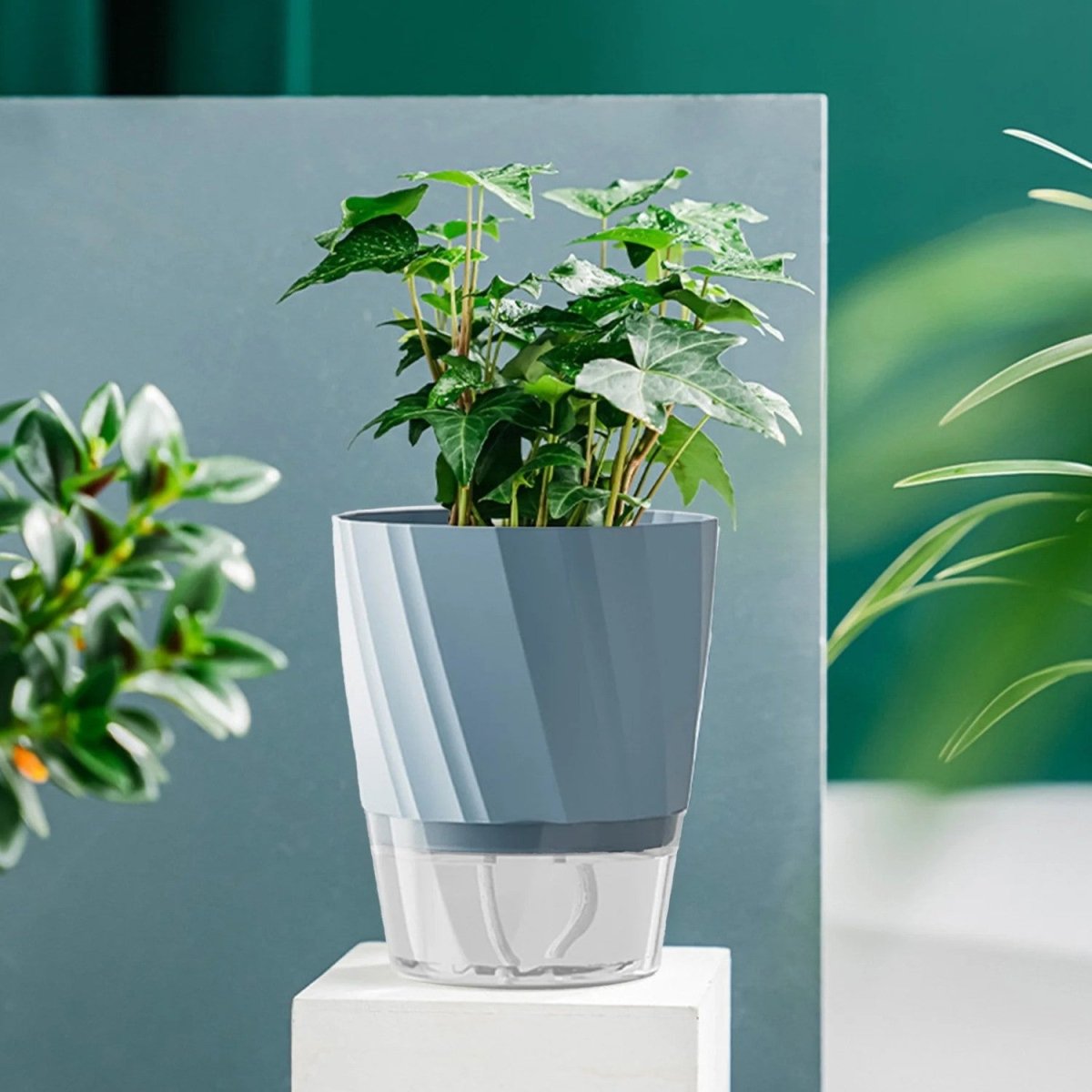 Self-Watering Flowerpot for Clean Indoor Gardening