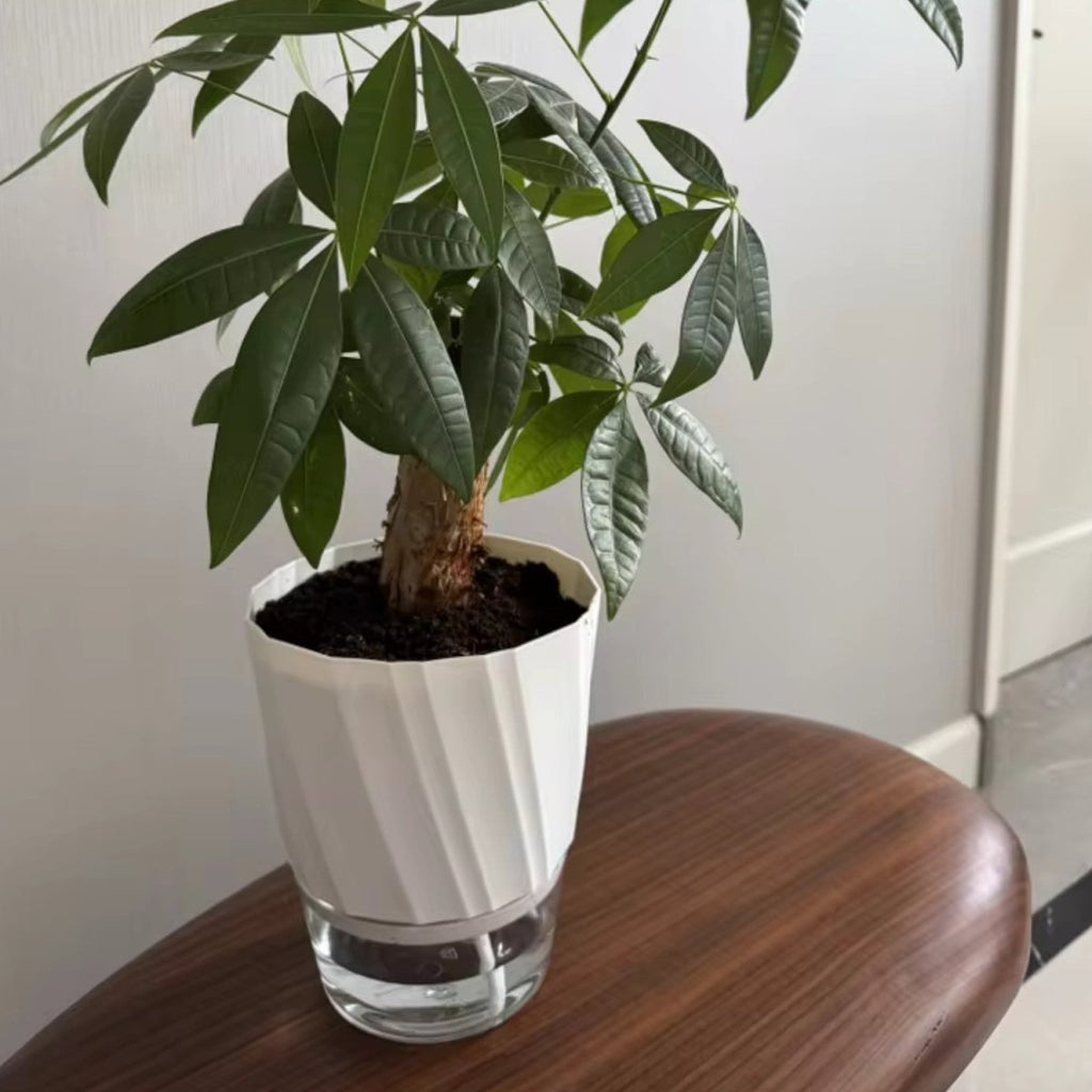 Self-Watering Flowerpot for Clean Indoor Gardening