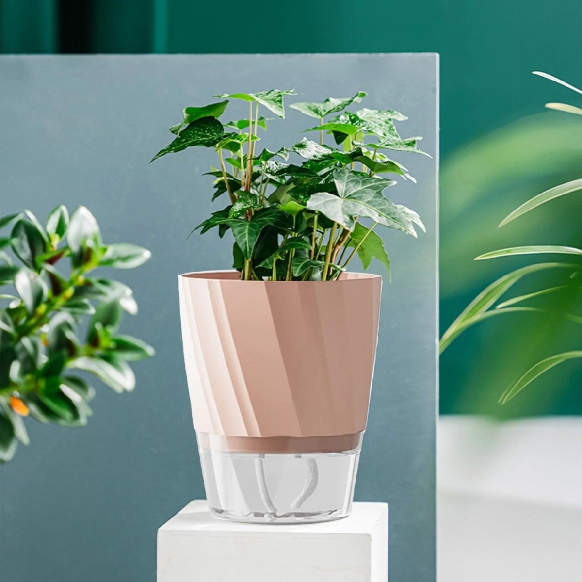 Self-Watering Flowerpot for Clean Indoor Gardening