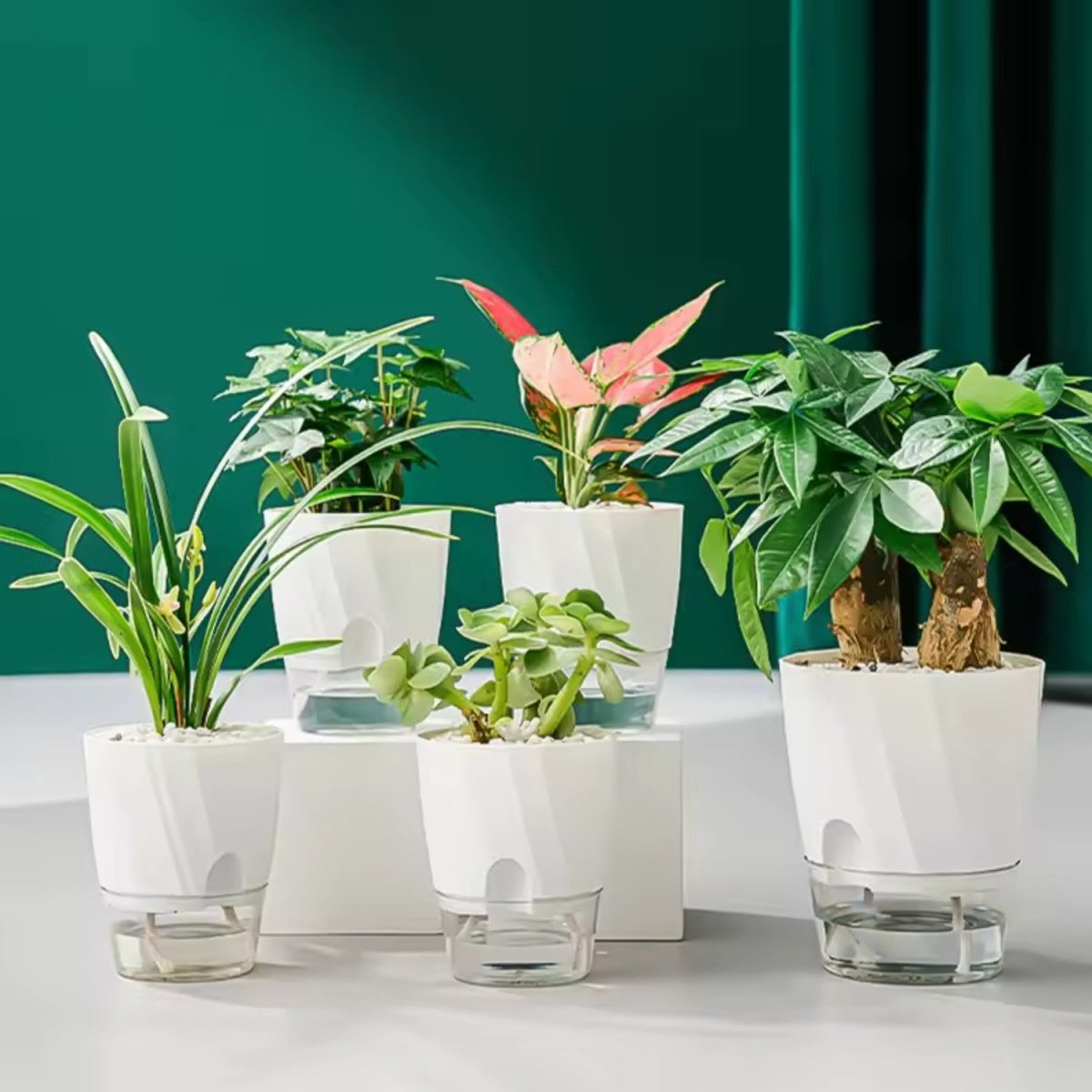 Self-Watering Flowerpot for Clean Indoor Gardening