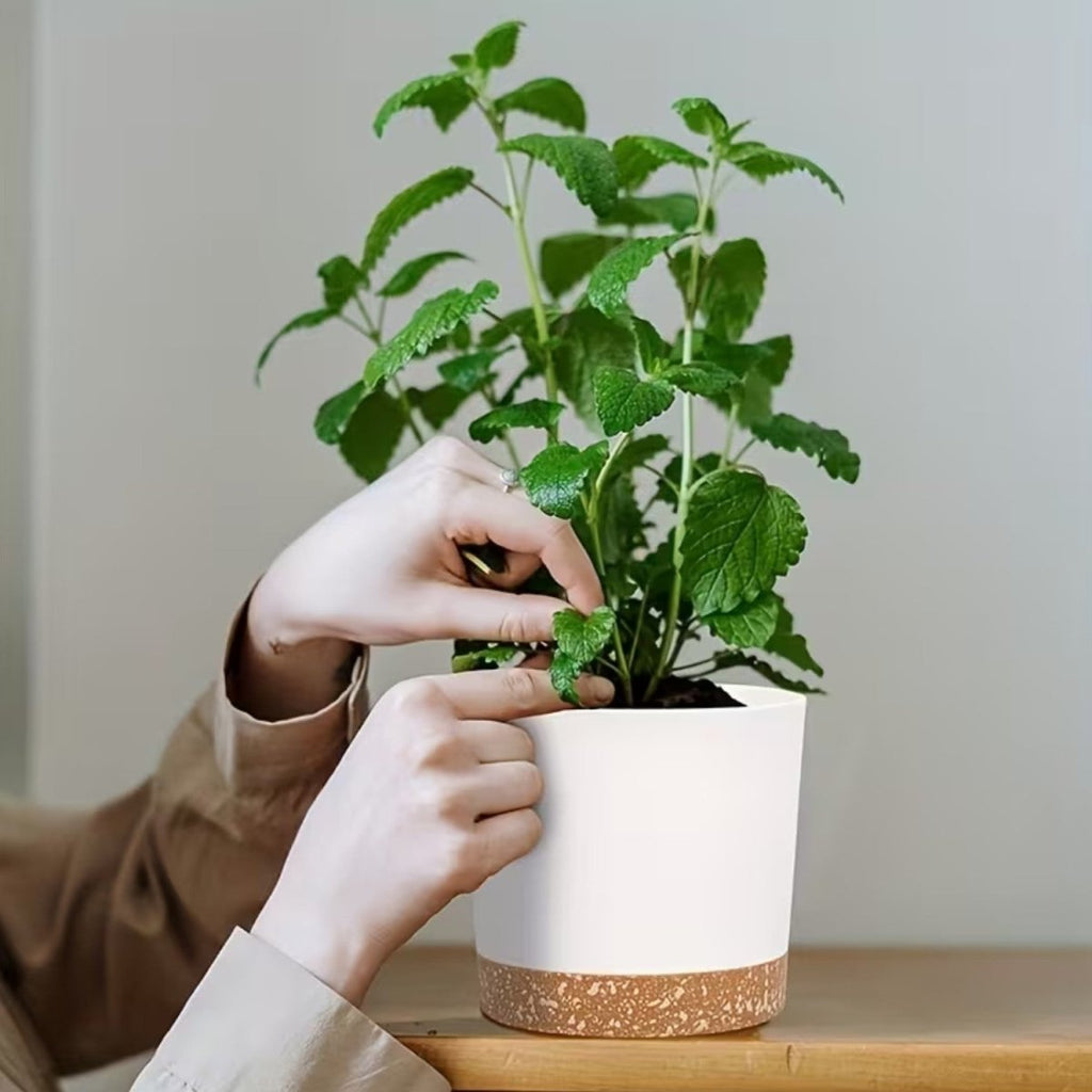 Set of 4 Modern Flower Pots with Drainage