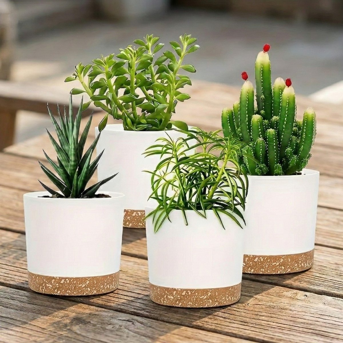 Set of 4 Modern Flower Pots with Drainage