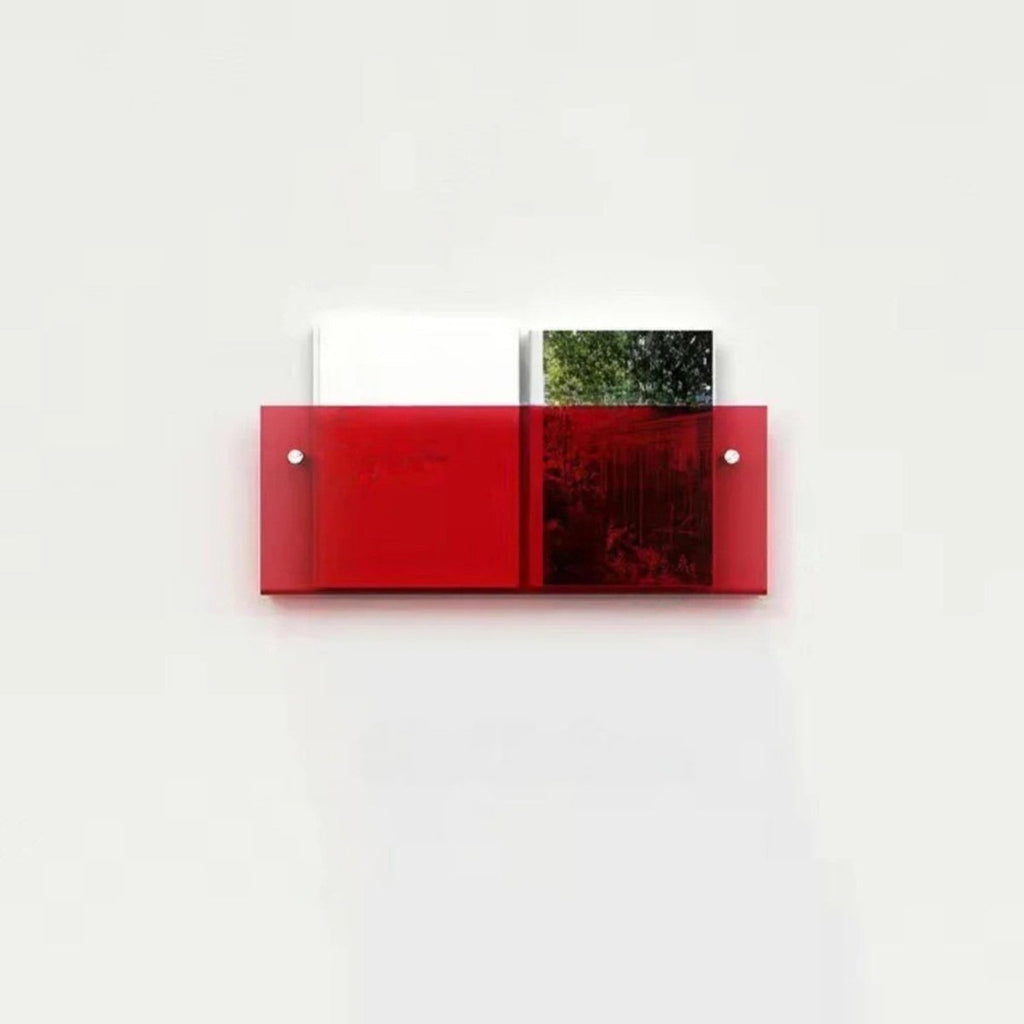 Sleek Clear Acrylic Magazine Wall Shelf