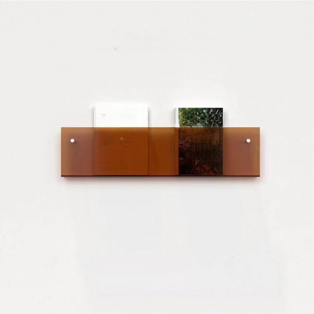 Sleek Clear Acrylic Magazine Wall Shelf