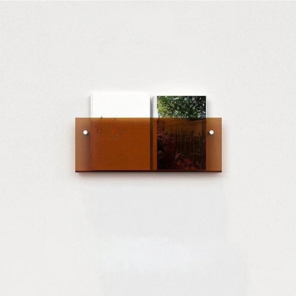Sleek Clear Acrylic Magazine Wall Shelf