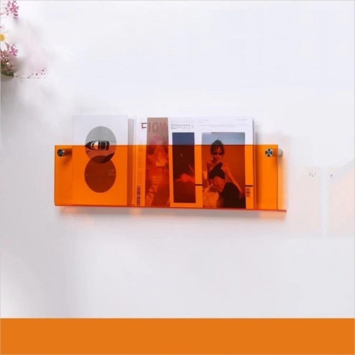 Sleek Clear Acrylic Magazine Wall Shelf