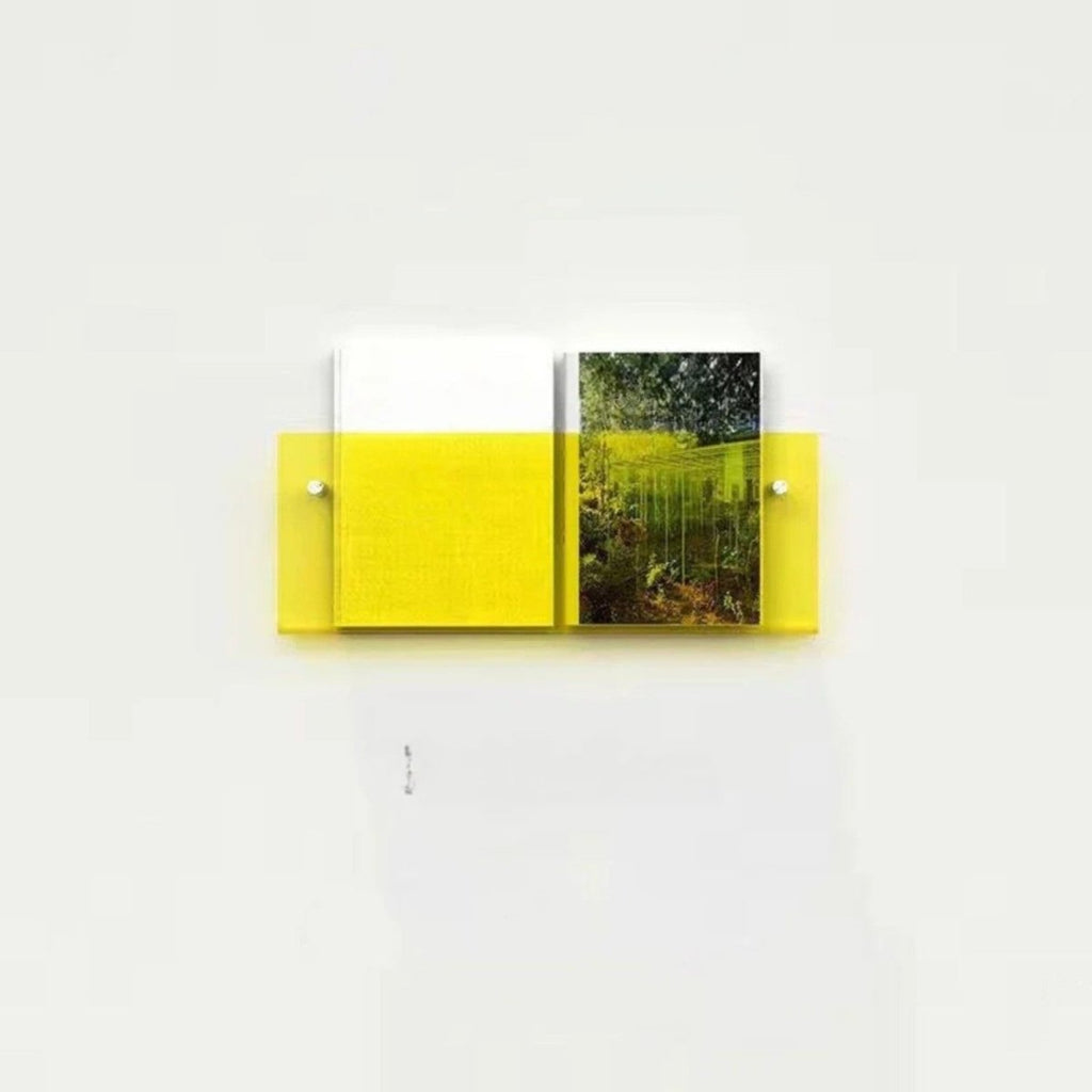 Sleek Clear Acrylic Magazine Wall Shelf