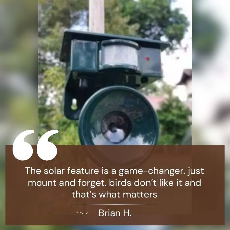Smart Ultrasonic Solar Bird Repeller