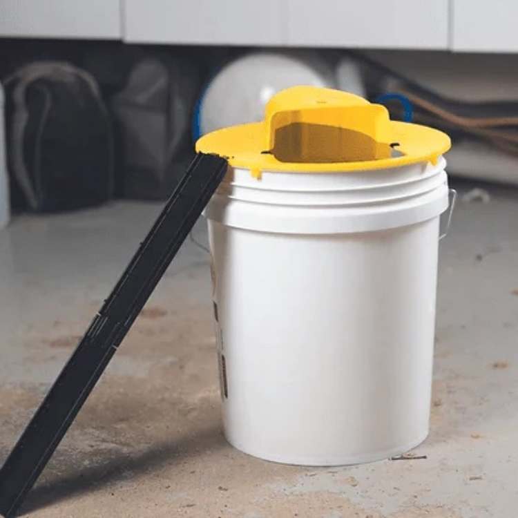 SmartCatch  Mouse Trap