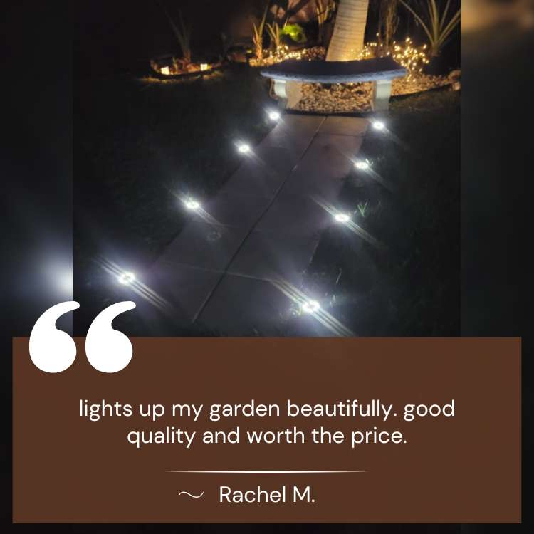 SunBeam Garden Lights – Rust-Proof, Solar-Powered & Weather-Ready