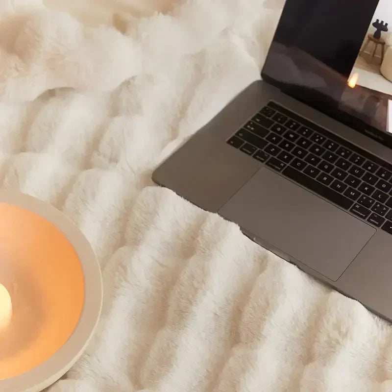 The Plush Blanket Everyone Is Talking About! – WarmPlush